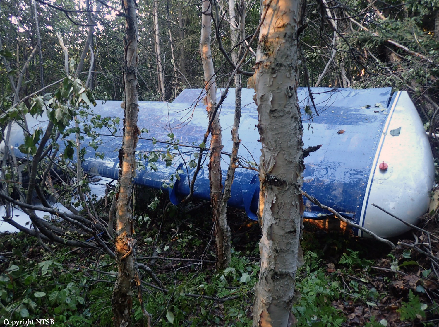 Abandoned Passenger Plane Wreck in the Forest in Winter, Vehicles